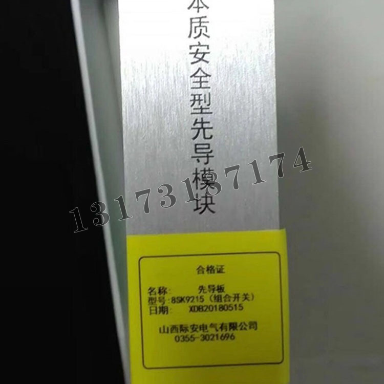 山西際安先導(dǎo)板8SK9215本質(zhì)**型先導(dǎo)模塊（組合開關(guān)）-1.jpg